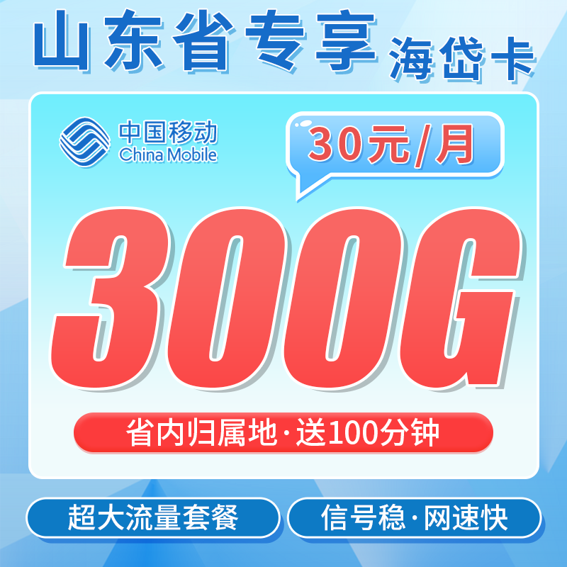 移动鲁岱卡30元300G+100分钟+山东专属!